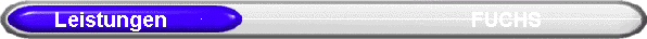          Leistungen                                                        FUCHS